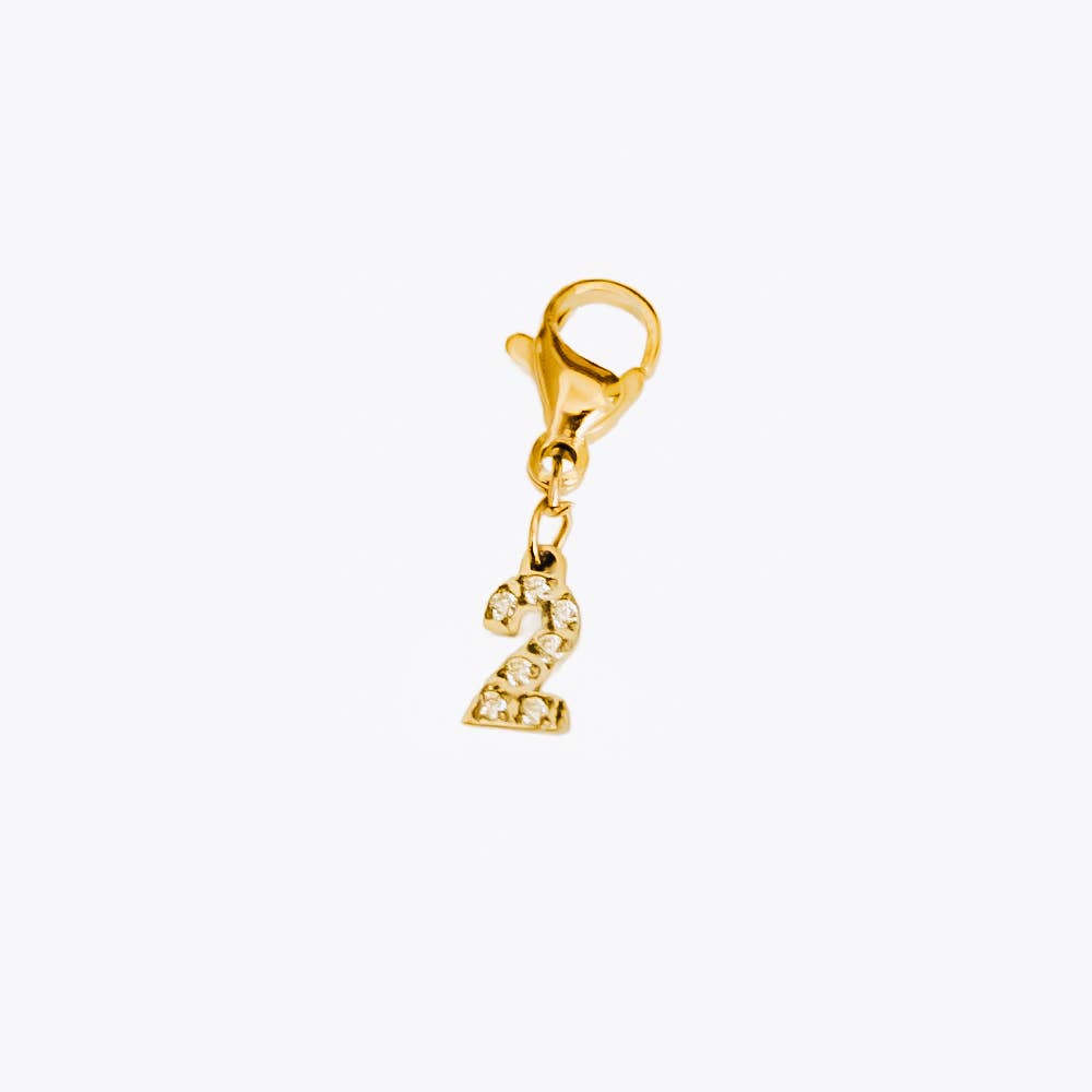 Bundled Number Charm Bar Chanelle Charms - WATERPROOF