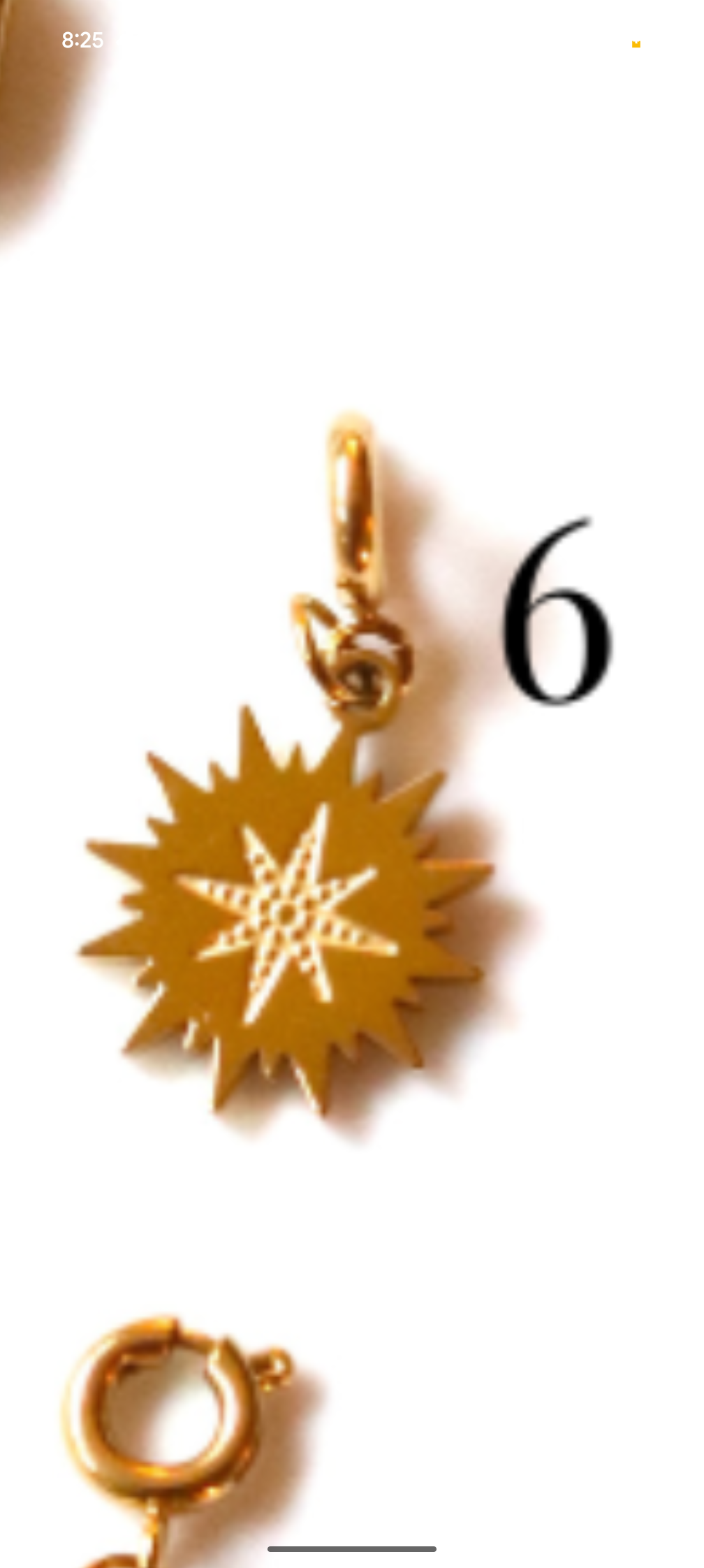 Stainless Steel Gold Plated Eclectic Charms
